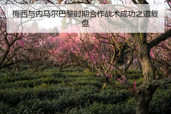 梅西与内马尔巴黎时期合作战术成功之道复盘